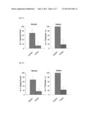 SILICON-CONTAINING BIODEGRADABLE MATERIAL FOR ANTI-INFLAMMATORY THERAPY diagram and image