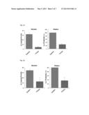 SILICON-CONTAINING BIODEGRADABLE MATERIAL FOR ANTI-INFLAMMATORY THERAPY diagram and image