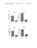 SILICON-CONTAINING BIODEGRADABLE MATERIAL FOR ANTI-INFLAMMATORY THERAPY diagram and image