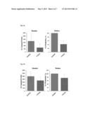 SILICON-CONTAINING BIODEGRADABLE MATERIAL FOR ANTI-INFLAMMATORY THERAPY diagram and image