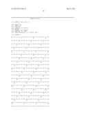 Use of Interleukin-1 Beta Mutein Conjugates in the Treatment of Diabetes diagram and image