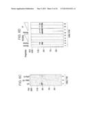 HIFa prolyl hydroxylation assay diagram and image