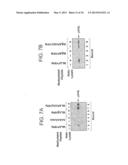 HIFa prolyl hydroxylation assay diagram and image