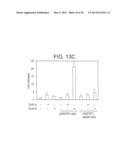 HIFa prolyl hydroxylation assay diagram and image