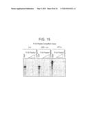 HIFa prolyl hydroxylation assay diagram and image