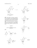 MODIFIED NUCLEOSIDES, NUCLEOTIDES, AND NUCLEIC ACIDS, AND USES THEREOF diagram and image