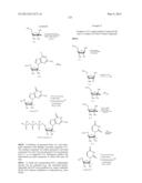 MODIFIED NUCLEOSIDES, NUCLEOTIDES, AND NUCLEIC ACIDS, AND USES THEREOF diagram and image