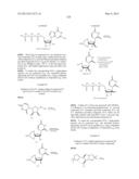 MODIFIED NUCLEOSIDES, NUCLEOTIDES, AND NUCLEIC ACIDS, AND USES THEREOF diagram and image