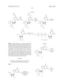 MODIFIED NUCLEOSIDES, NUCLEOTIDES, AND NUCLEIC ACIDS, AND USES THEREOF diagram and image