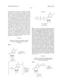 MODIFIED NUCLEOSIDES, NUCLEOTIDES, AND NUCLEIC ACIDS, AND USES THEREOF diagram and image