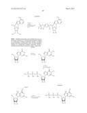 MODIFIED NUCLEOSIDES, NUCLEOTIDES, AND NUCLEIC ACIDS, AND USES THEREOF diagram and image