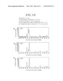 METHOD FOR FORMING RUTHENIUM OXIDE FILM diagram and image