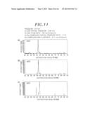 METHOD FOR FORMING RUTHENIUM OXIDE FILM diagram and image