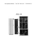 METHOD FOR FORMING RUTHENIUM OXIDE FILM diagram and image