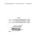 NUCLEOTIDE REPEAT EXPANSION-ASSOCIATED POLYPEPTIDES AND USES THEREOF diagram and image