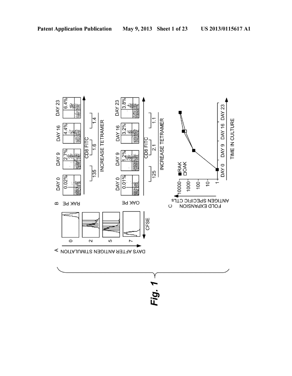 METHODS OF CELL CULTURE FOR ADOPTIVE CELL THERAPY - diagram, schematic, and image 02