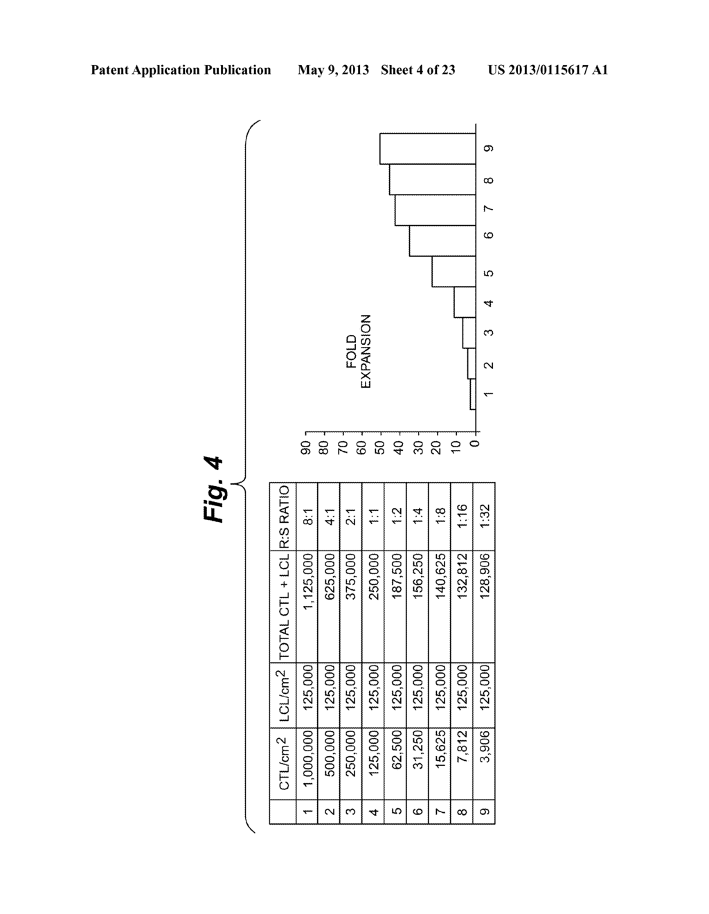 METHODS OF CELL CULTURE FOR ADOPTIVE CELL THERAPY - diagram, schematic, and image 05