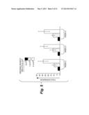 METHODS OF CELL CULTURE FOR ADOPTIVE CELL THERAPY diagram and image