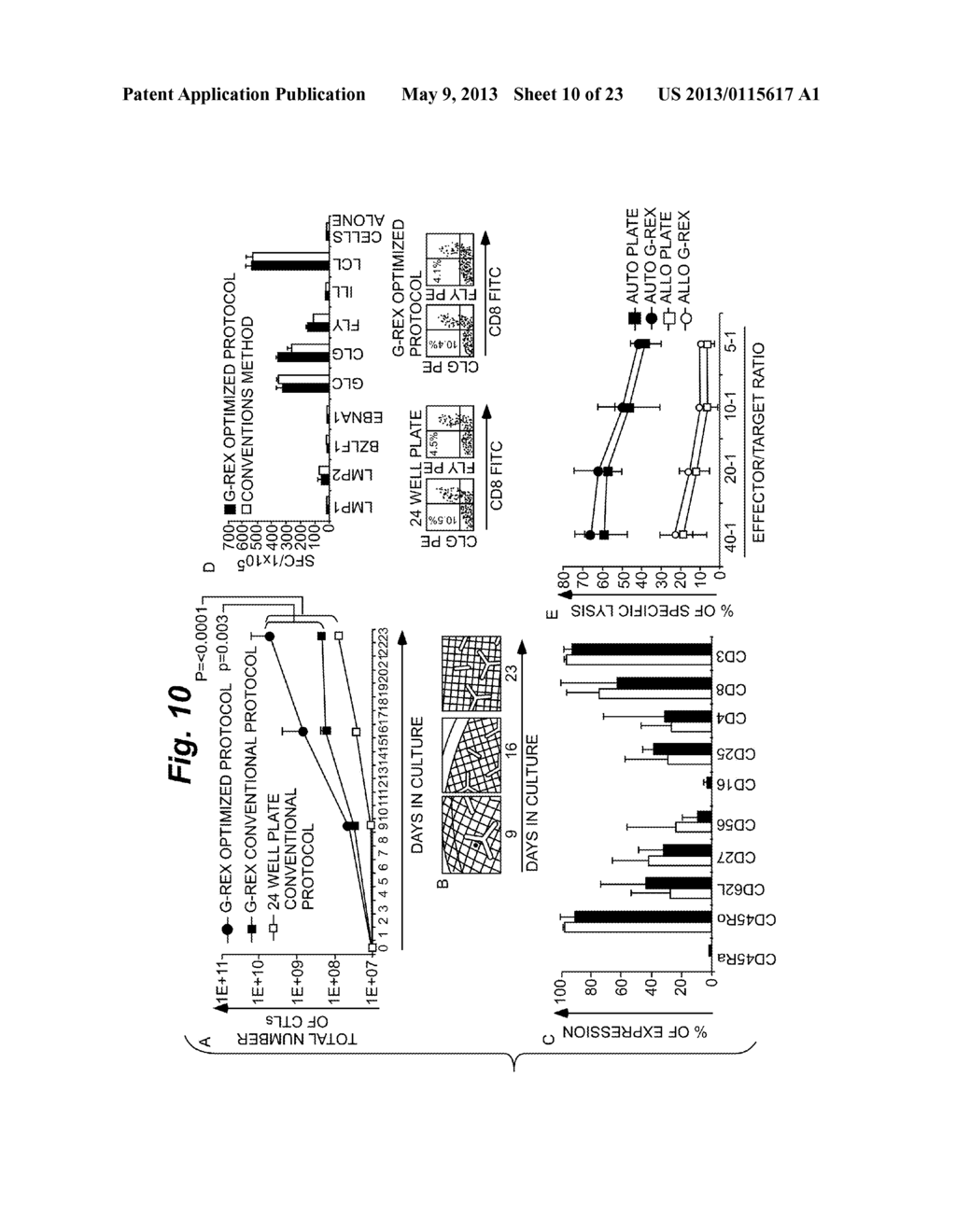 METHODS OF CELL CULTURE FOR ADOPTIVE CELL THERAPY - diagram, schematic, and image 11