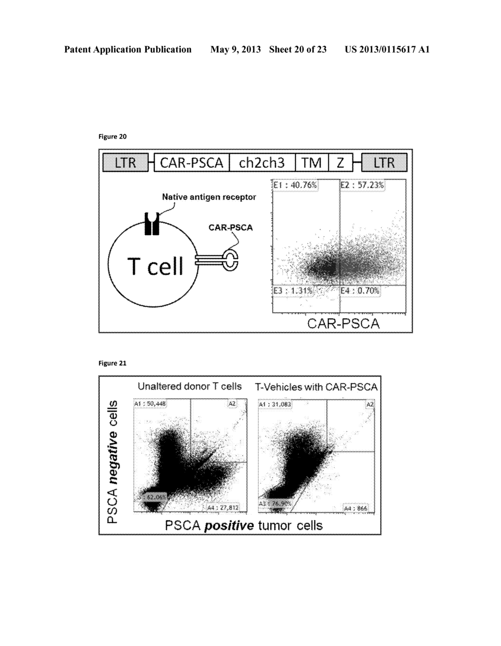 METHODS OF CELL CULTURE FOR ADOPTIVE CELL THERAPY - diagram, schematic, and image 21