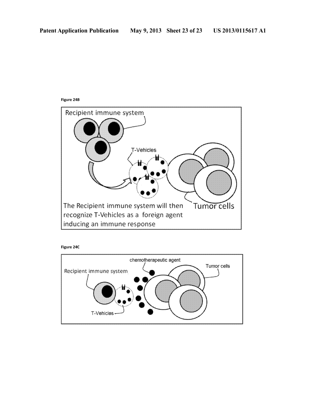 METHODS OF CELL CULTURE FOR ADOPTIVE CELL THERAPY - diagram, schematic, and image 24