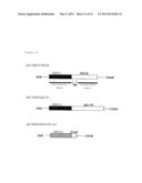 Novel Hemopoietin Receptor Protein, NR10 diagram and image
