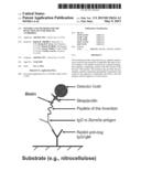 PEPTIDES AND METHODS FOR THE DETECTION OF LYME DISEASE ANTIBODIES diagram and image