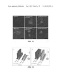 EPITOPE TAG FOR AFFINITY-BASED APPLICATIONS diagram and image