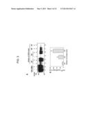 Efficiency of Prion Conversion in vitro and Sensitivity of Prion Detection diagram and image