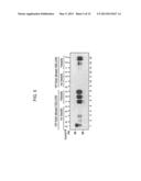 Efficiency of Prion Conversion in vitro and Sensitivity of Prion Detection diagram and image