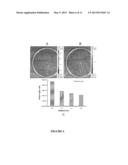 Method to Increase the Number of Detectable Photons During the Imaging of     a Biological Marker diagram and image