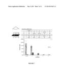 Method to Increase the Number of Detectable Photons During the Imaging of     a Biological Marker diagram and image