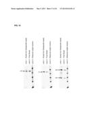 Lung Cancer Biomarkers and Uses Thereof diagram and image