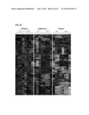 Lung Cancer Biomarkers and Uses Thereof diagram and image