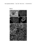 Lung Cancer Biomarkers and Uses Thereof diagram and image