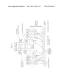 Compositions for Regenerating Defective or Absent Myocardium diagram and image