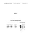 COMBINATION THERAPIES FOR TREATING NEUROLOGICAL DISORDERS diagram and image