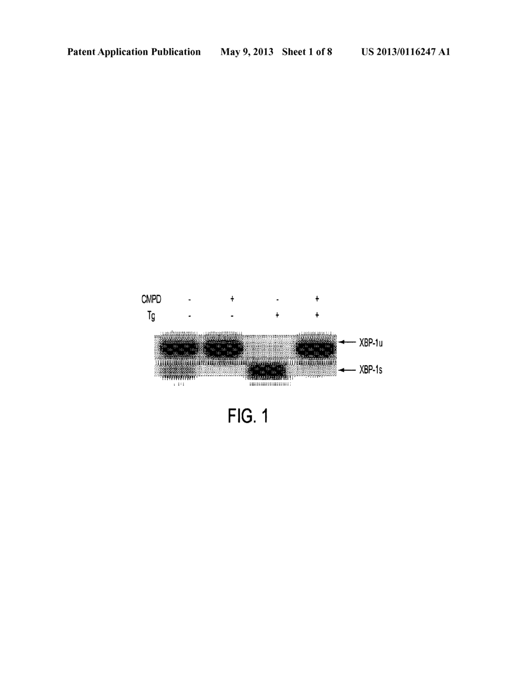 IRE-1alpha INHIBITORS - diagram, schematic, and image 02