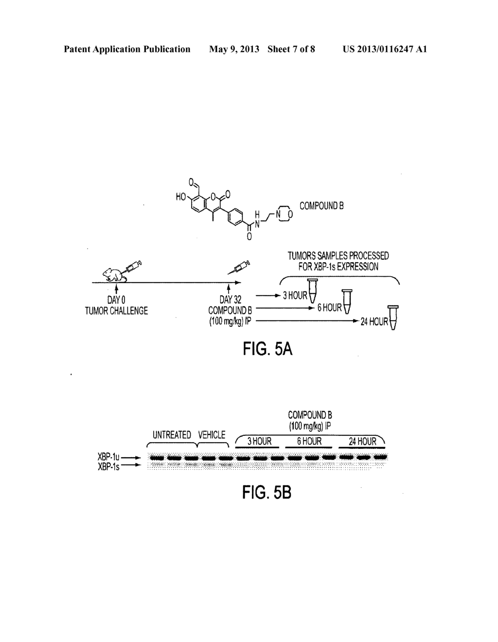 IRE-1alpha INHIBITORS - diagram, schematic, and image 08