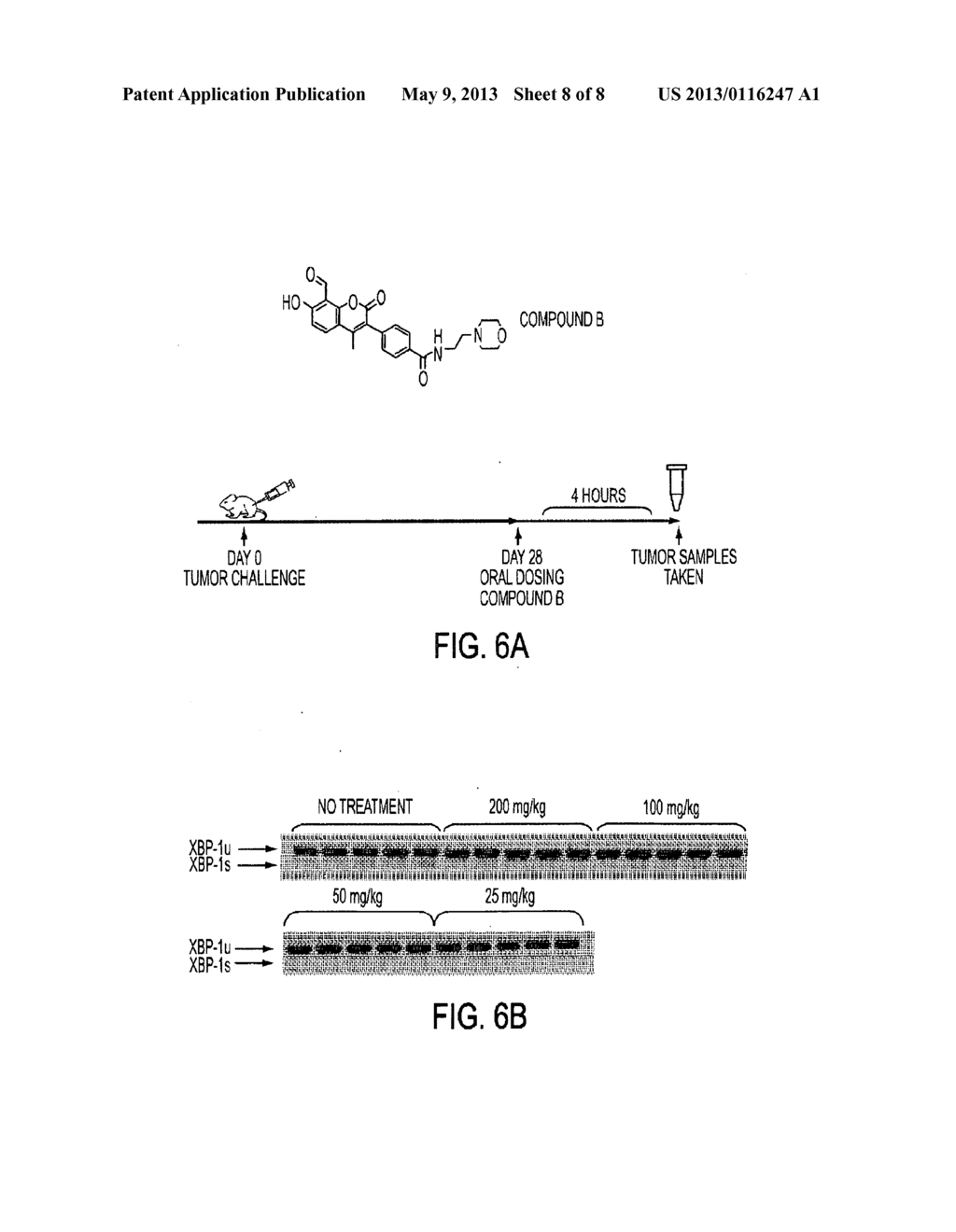 IRE-1alpha INHIBITORS - diagram, schematic, and image 09