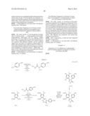 Novel HSP90 Inhibitor diagram and image