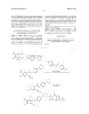 Novel HSP90 Inhibitor diagram and image