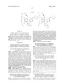 Novel HSP90 Inhibitor diagram and image