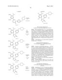 Novel HSP90 Inhibitor diagram and image