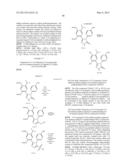 Novel HSP90 Inhibitor diagram and image