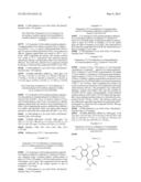 Novel HSP90 Inhibitor diagram and image