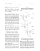 Novel HSP90 Inhibitor diagram and image