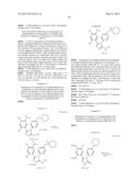 Novel HSP90 Inhibitor diagram and image