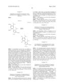 Novel HSP90 Inhibitor diagram and image