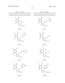 Novel HSP90 Inhibitor diagram and image